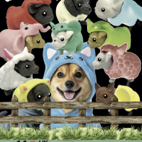 55mm PUPPIES WITH COAT - играчки-is1vS.png